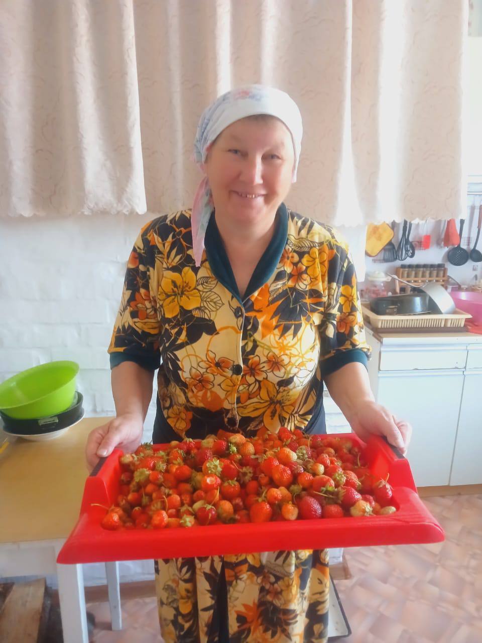 Летний урожай